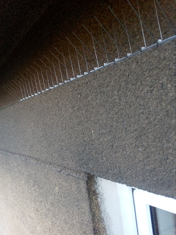 Zábrany proti ptactvu